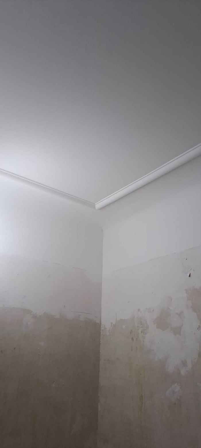 Stuck und Decke saniert